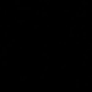 Meet your Posher, Liz